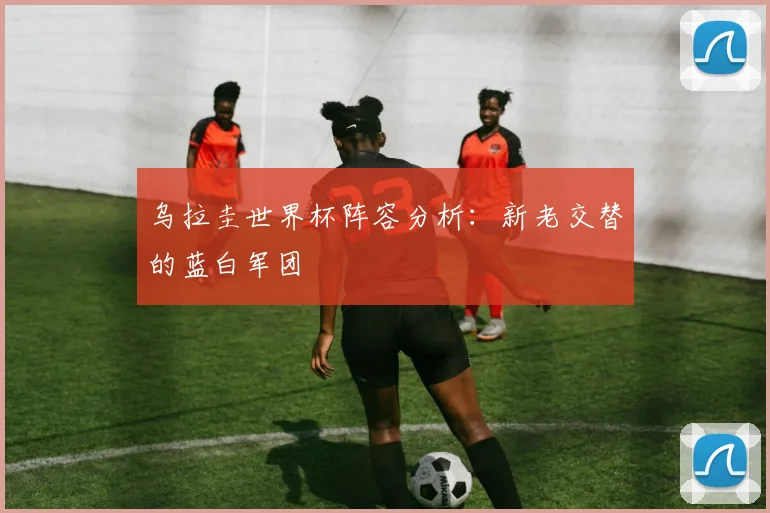 乌拉圭世界杯阵容分析：新老交替的蓝白军团