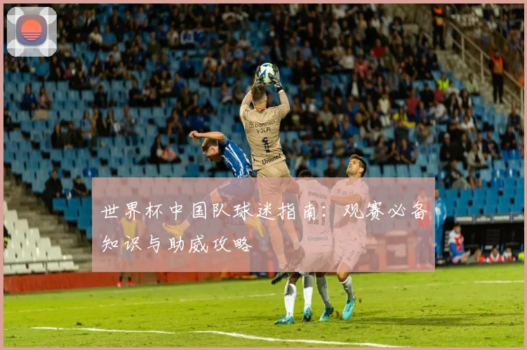 世界杯中国队球迷指南：观赛必备知识与助威攻略