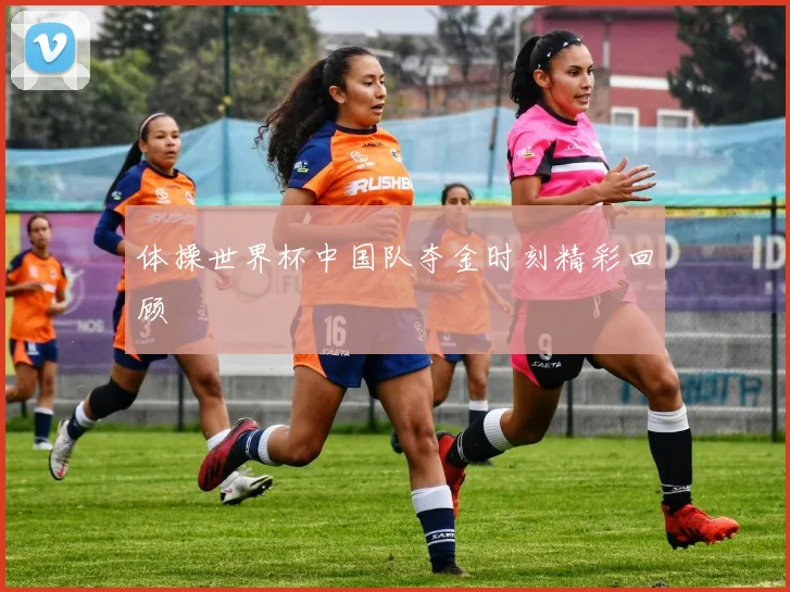 体操世界杯中国队夺金时刻精彩回顾