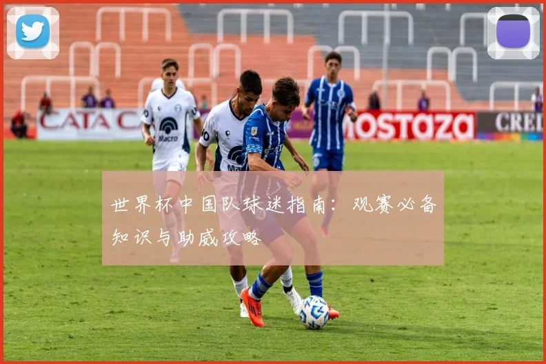 世界杯中国队球迷指南:观赛必备知识与助威攻略