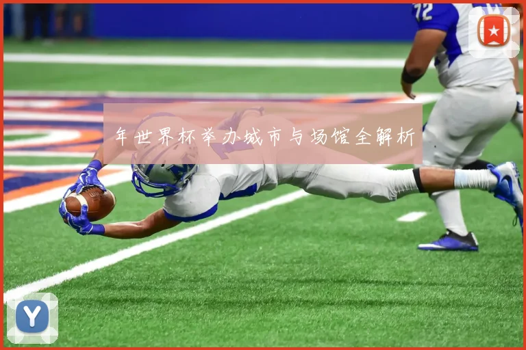 年世界杯举办城市与场馆全解析
