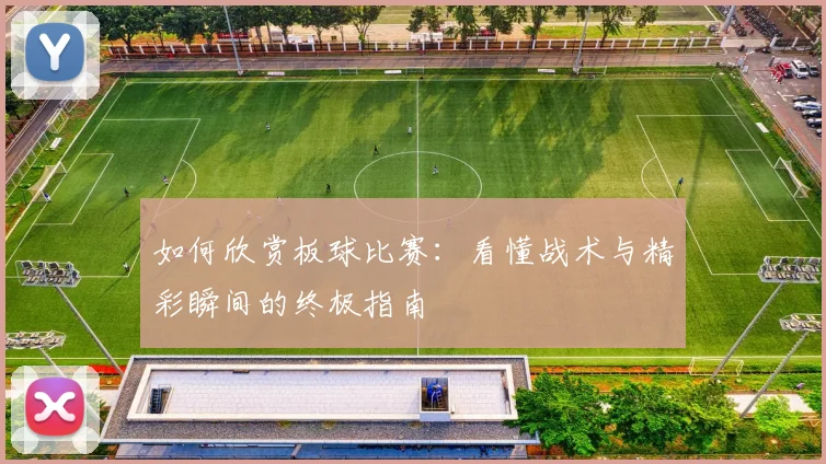 如何欣赏板球比赛:看懂战术与精彩瞬间的终极指南