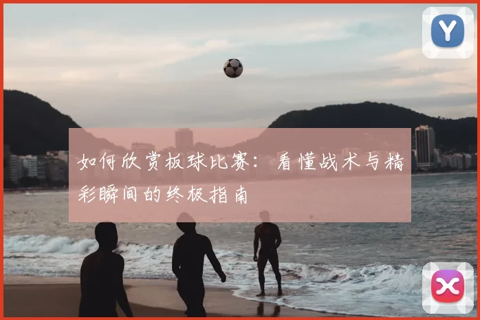 如何欣赏板球比赛:看懂战术与精彩瞬间的终极指南